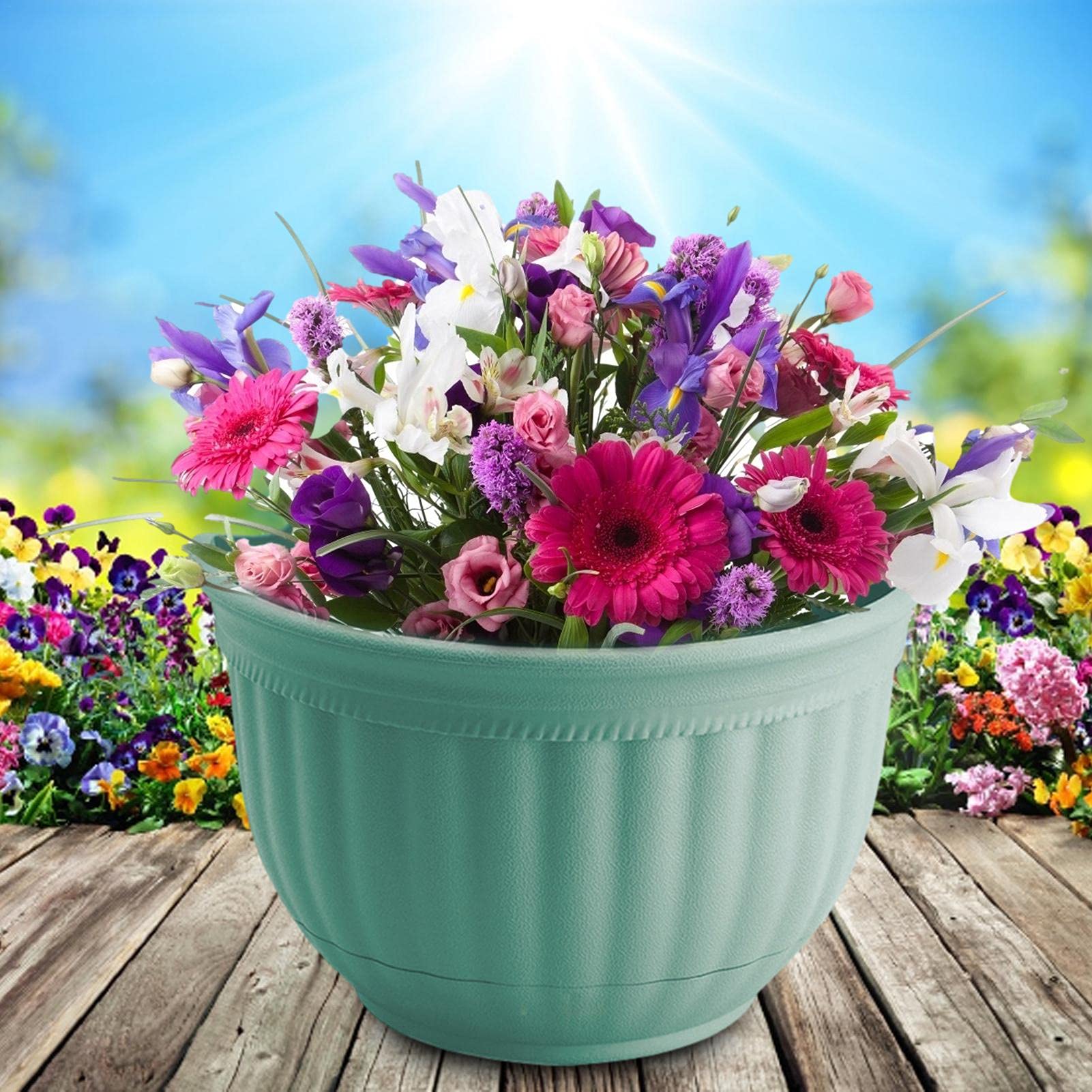 2 Jardinières Suspendues Demi-Cercle Galvanisées - Pots Muraux Intérieur/Extérieur Pour Plantes Succulentes