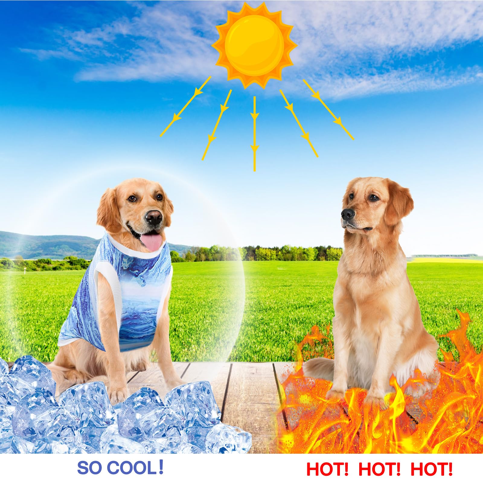Gilet Rinfrescante per Cani, Giacca di Raffreddamento per Cani, Tessuto a Raffreddamento Istantaneo e Microfibra, Blu, XL
