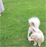 MayPaw Poignée de chien à corde lourde, 3/4/5/6/7/8/10/12/15FT Nylon Pet Leash, manche souple rembourrée Épaisseur Lead Leash pour grands chiens moyens Petit chiot