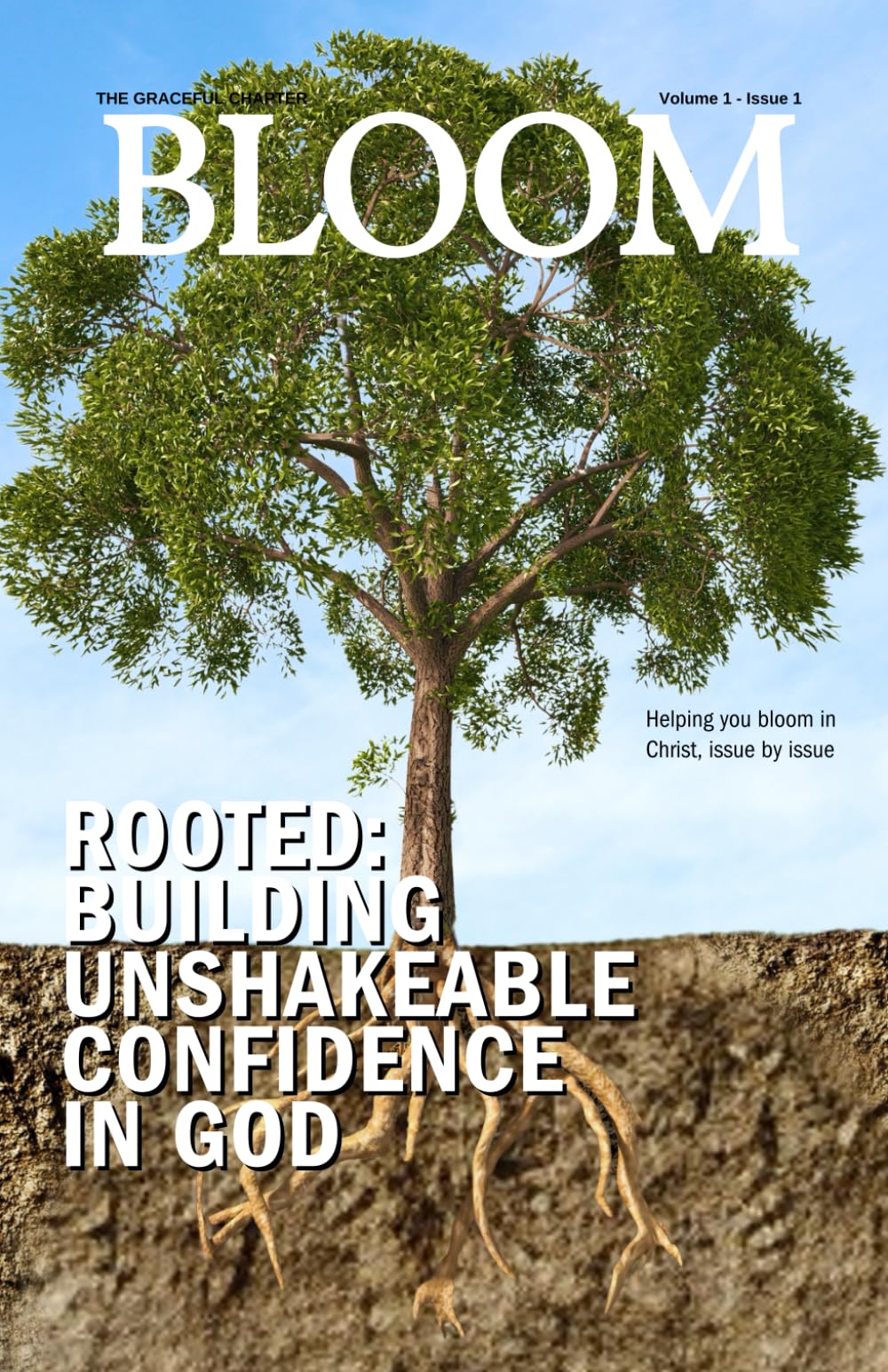 Rooted: Building Unshakeable Confidence in God (Bloom)