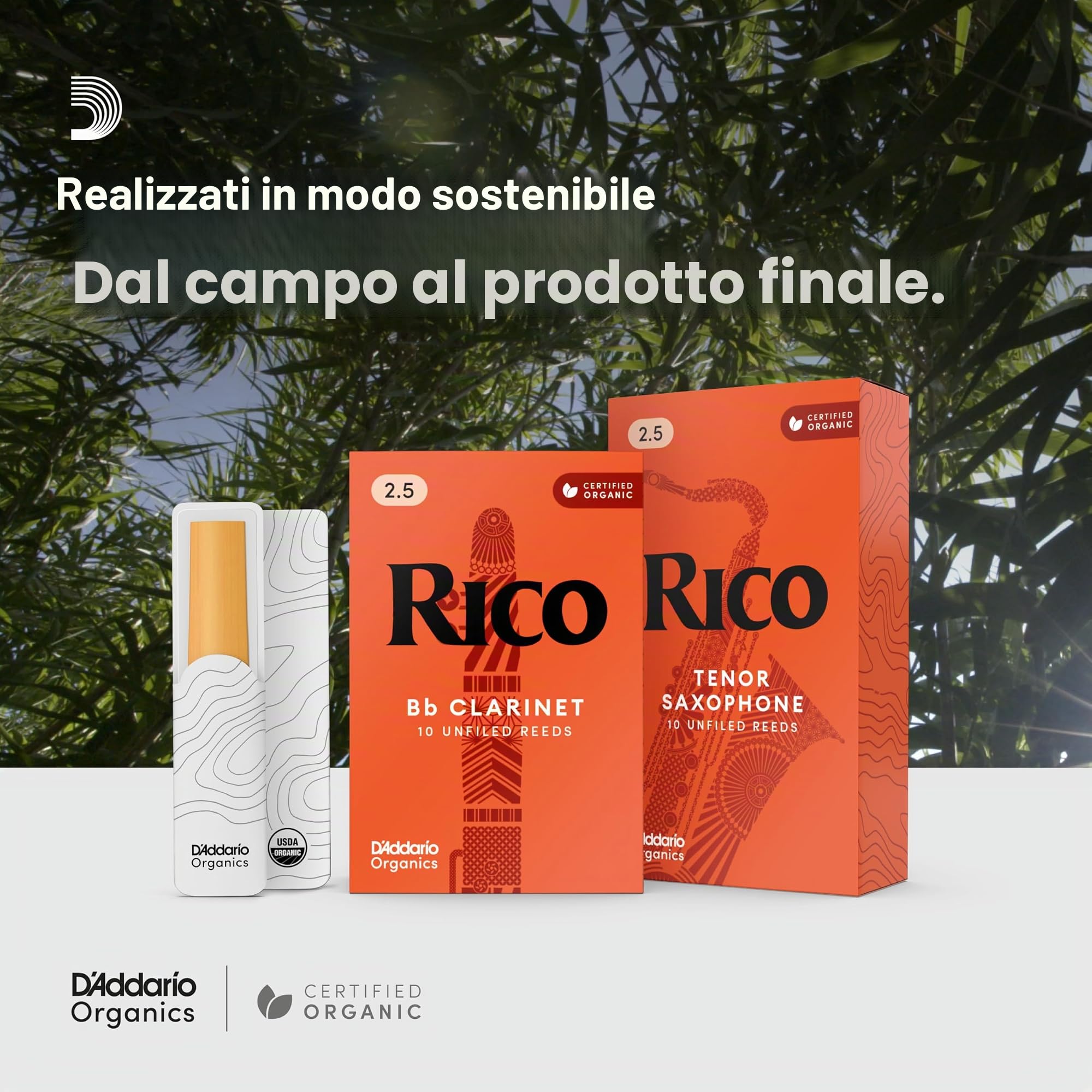 Rico Organic Clarinetto Basso Ance Forza 3.0, Confezione da 10