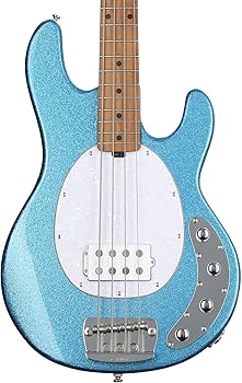 Amazon.com: StingRay RAY34 bass : Musical Instruments