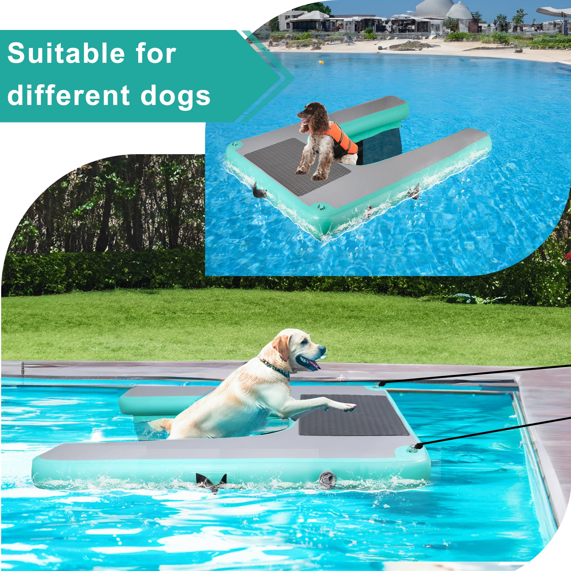 Rampe d'eau gonflable pour chiens, respectueuse de l'environnement, haute stabilité, rampe d'eau flottante pour chien, vert menthe, portable et durable, rampe d'eau pour chiens, pour
