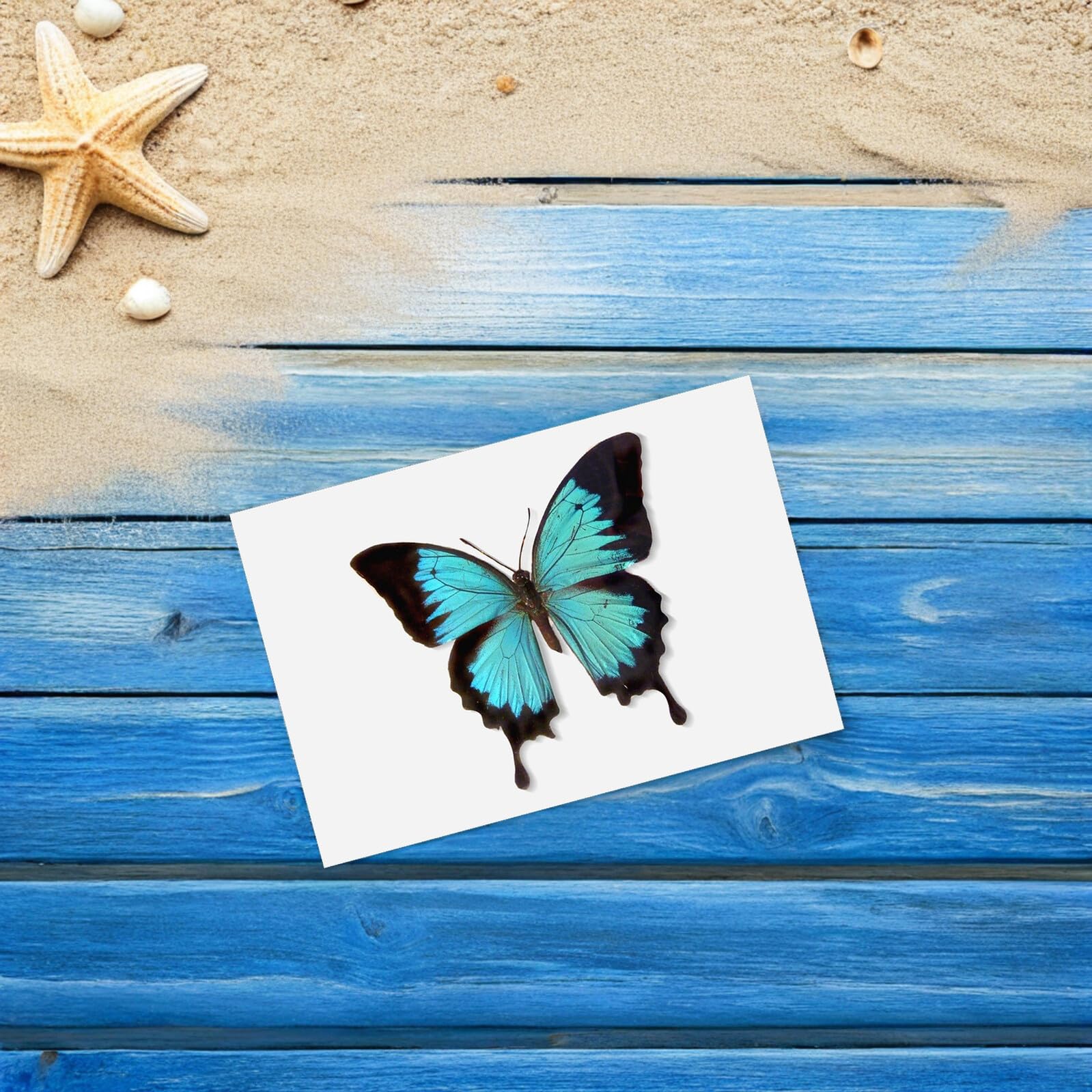 EVA Nadel pinboard Weiß Weiches Stabiles Insekten pinning Pad Schmetterlingspositionierbrett für Sammlungen Schützendes Display tool für Schmetterlinge und Insekten