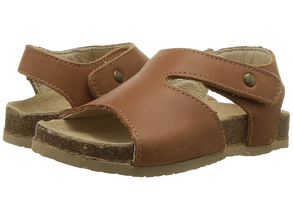 

Old Soles Digger (Toddler/Little Kid) (Tan) Boy's Shoes