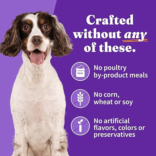 Vista 22 de Halo, Spot's Stew para perros