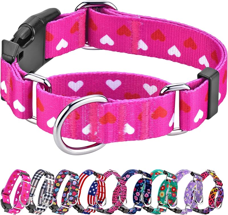 Coleira Martingale para Cães Hikiko em Nylon Macio com Fivela e Estampa, BZ003-A, Tamanho S