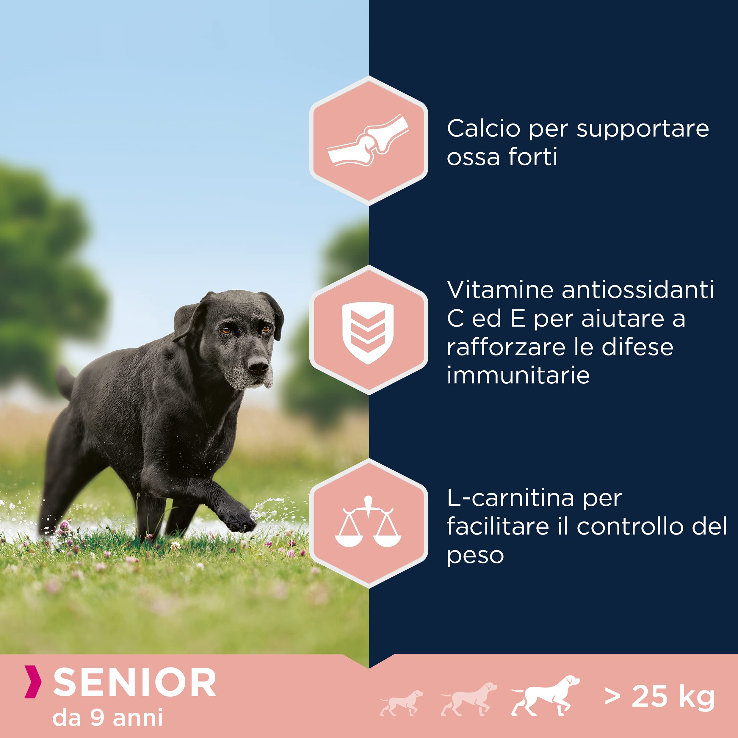 Eukanuba Cibo Secco per Cani per La Cura dei Cani Anziani di Taglia Grande, Ricco di Pollo Fresco, 3