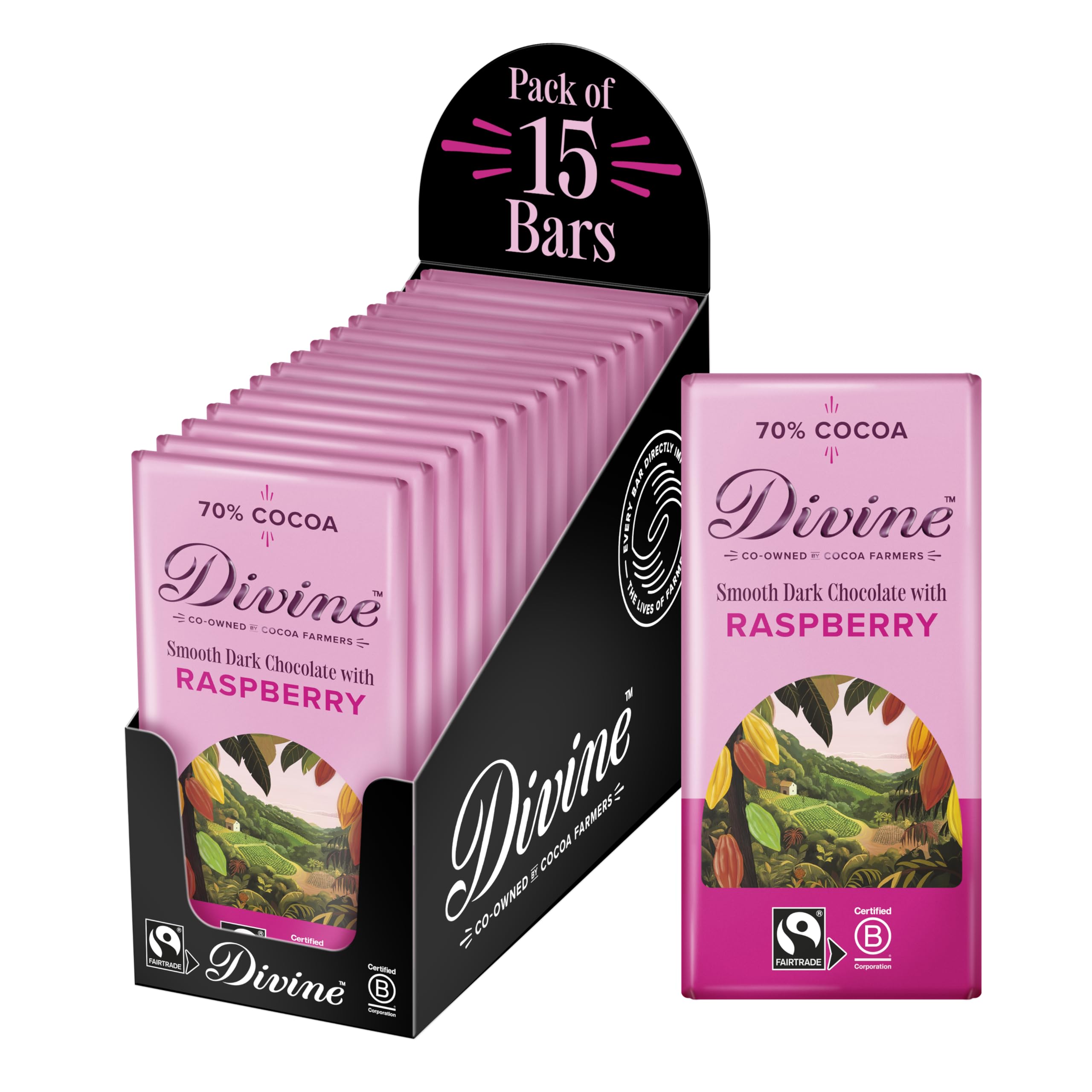 Divine 70% Cocoa Dark Chocolate with Raspberries 15 x 90g Bars – Fairtrade Dark Chocolate Bar – Sweet Raspberry Pieces – Ethical Premium Chocolate