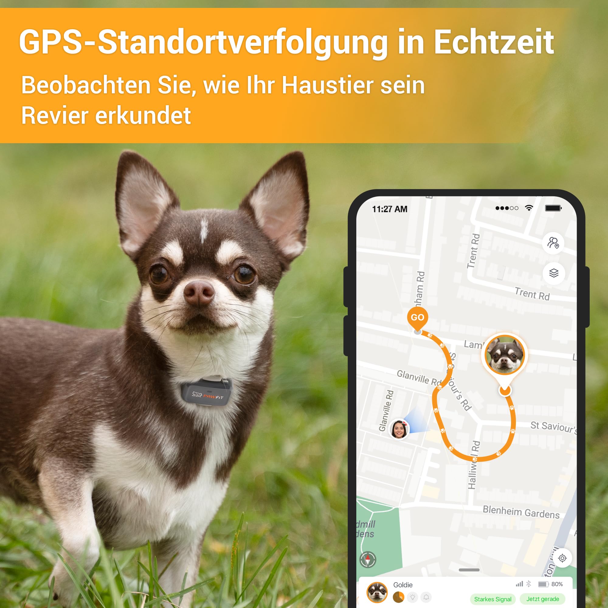 Pawfit Lite für Hunde 4G GPS Tracker | Echtzeit-Tracking | Aktivitätsüberwachung | Standortverlauf | Unbegrenzte Reichweite | Sicherheitshalsband inklusive | Kohlegrau