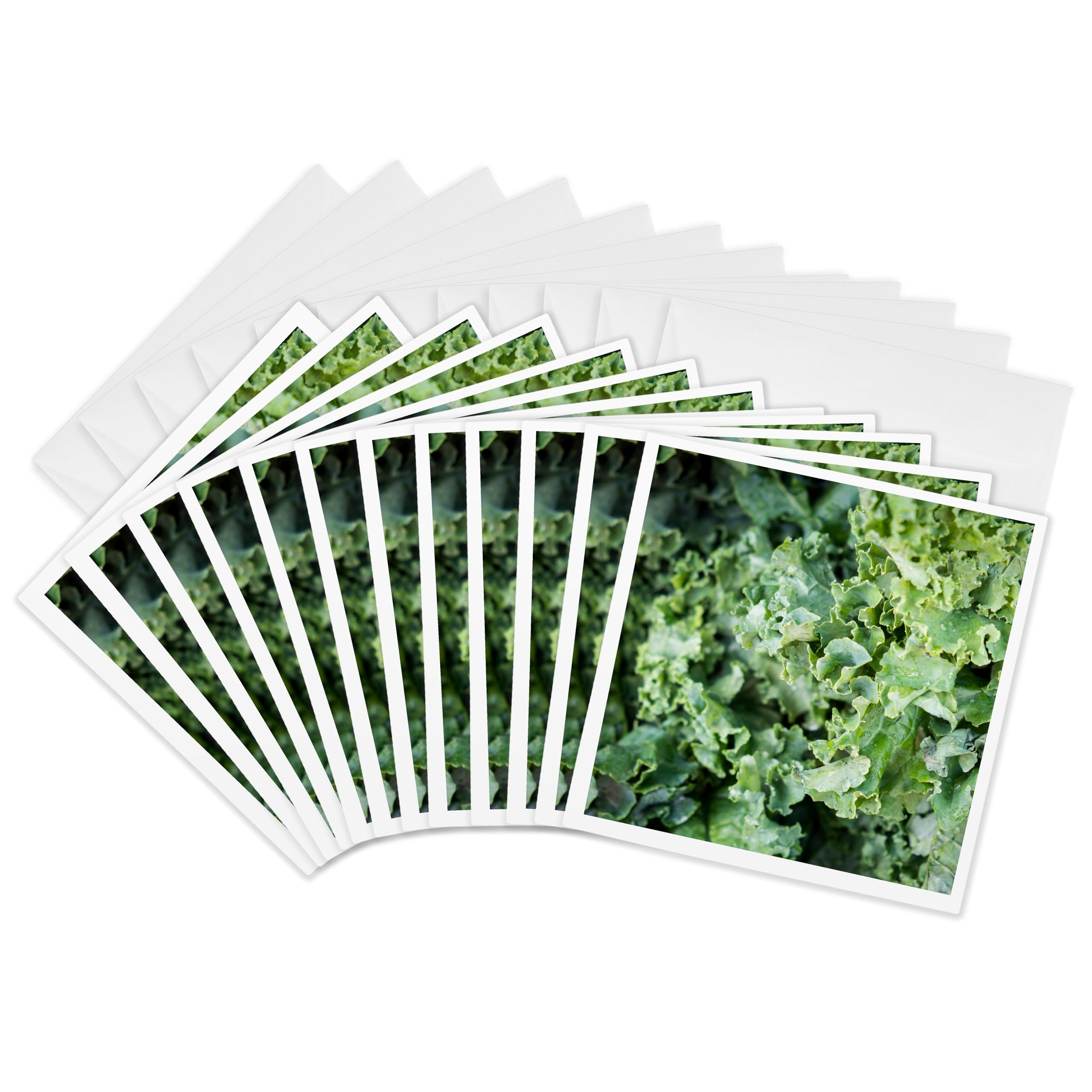 3dRose gc_251394_2 6 x 6-Inch "Kale for Sale at a Farmers Market Charleston, South Carolina USA" Greeting Card (Set of 12)