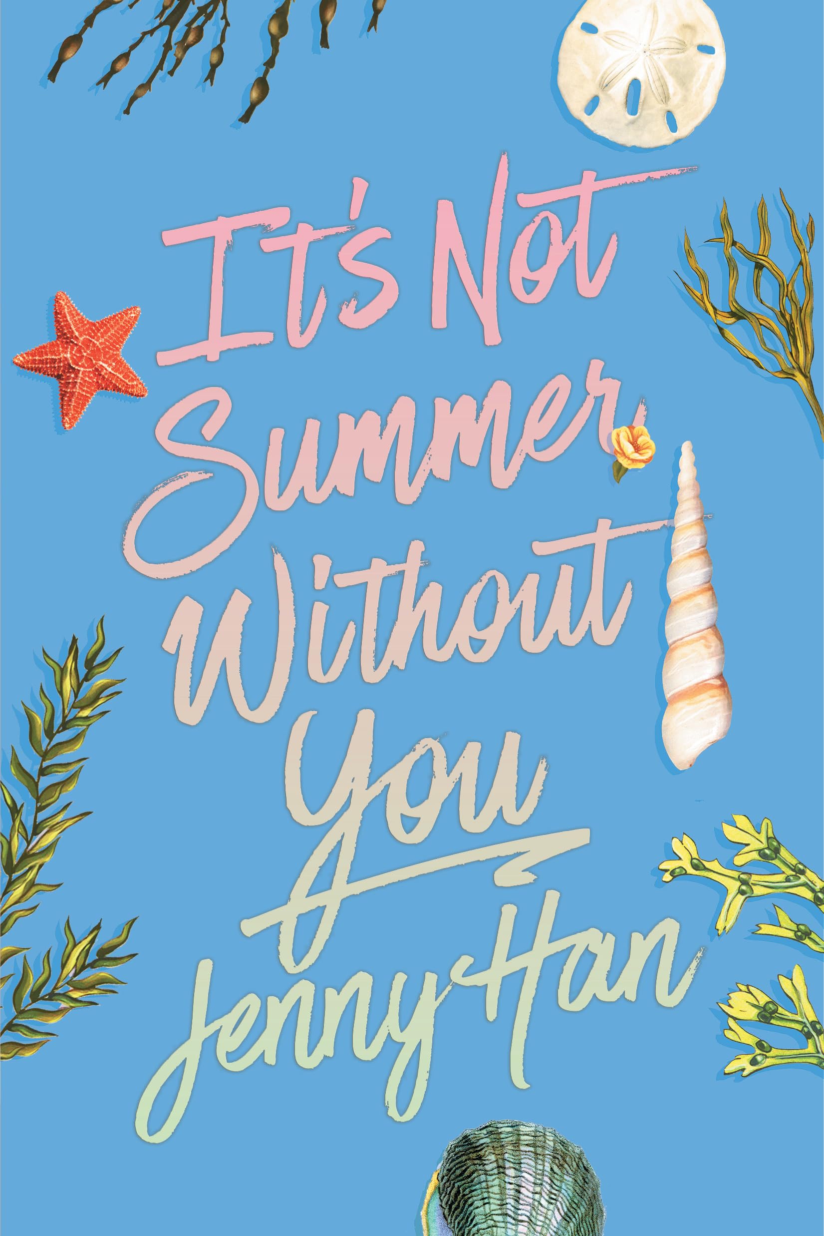 It's Not Summer Without You (Deluxe Edition) (Summer I Turned Pretty)