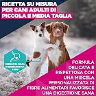 Foto di EUKANUBA Crocchette cani adulti taglia piccola/media agnello e riso, 12 kg