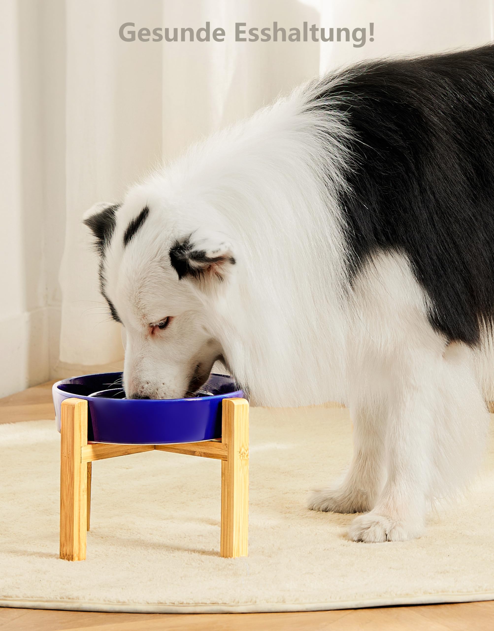 MOPANG Anti Schrokbak Hond, Antischrokbak Keramic voor