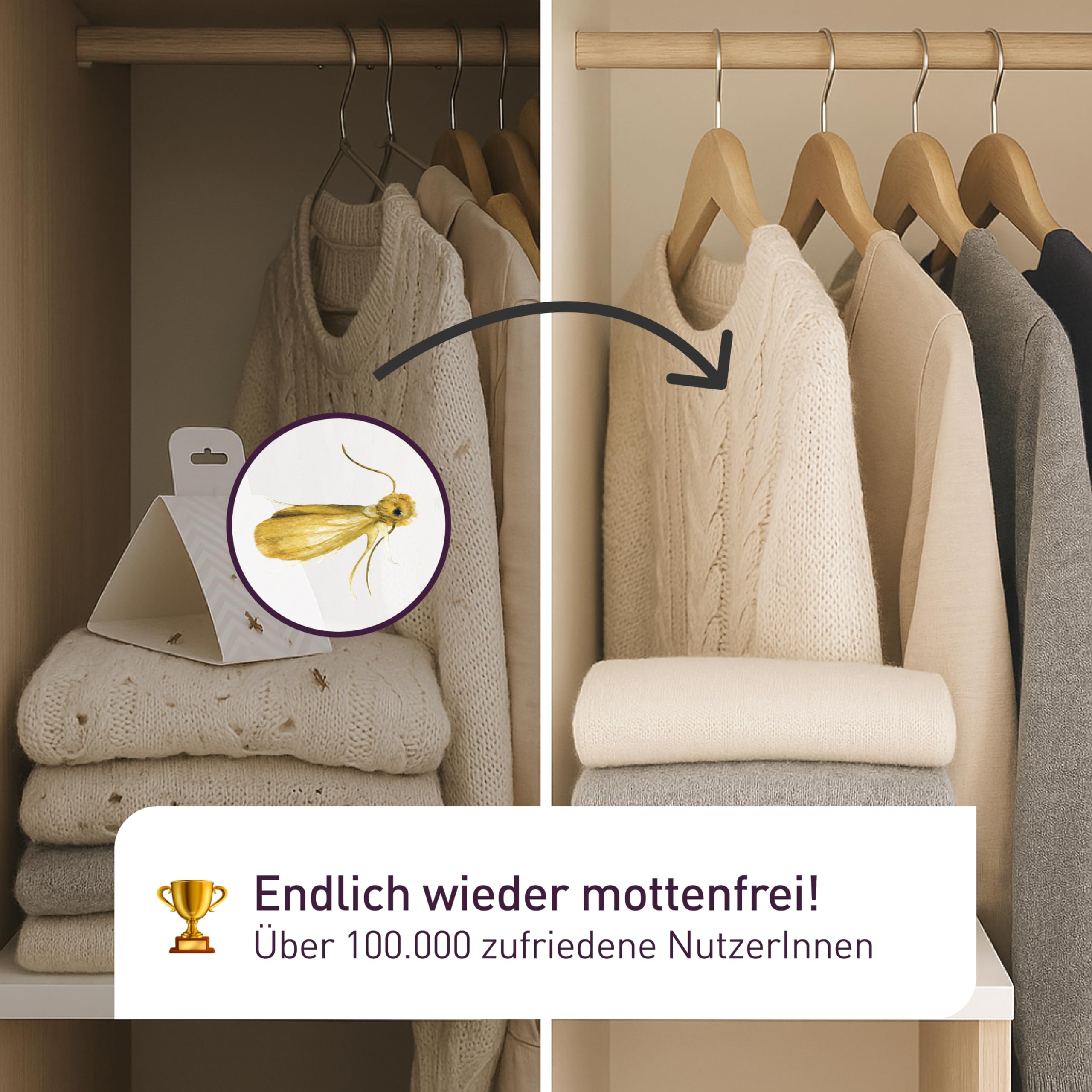 Plantura Schlupfwespen gegen Kleidermotten, Komplett-Lösung mit 12 Karten (3 Karten à 4 Lieferungen) - hochwirksame & nachhaltige Bekämpfung, Alternative zu Mottenkugeln