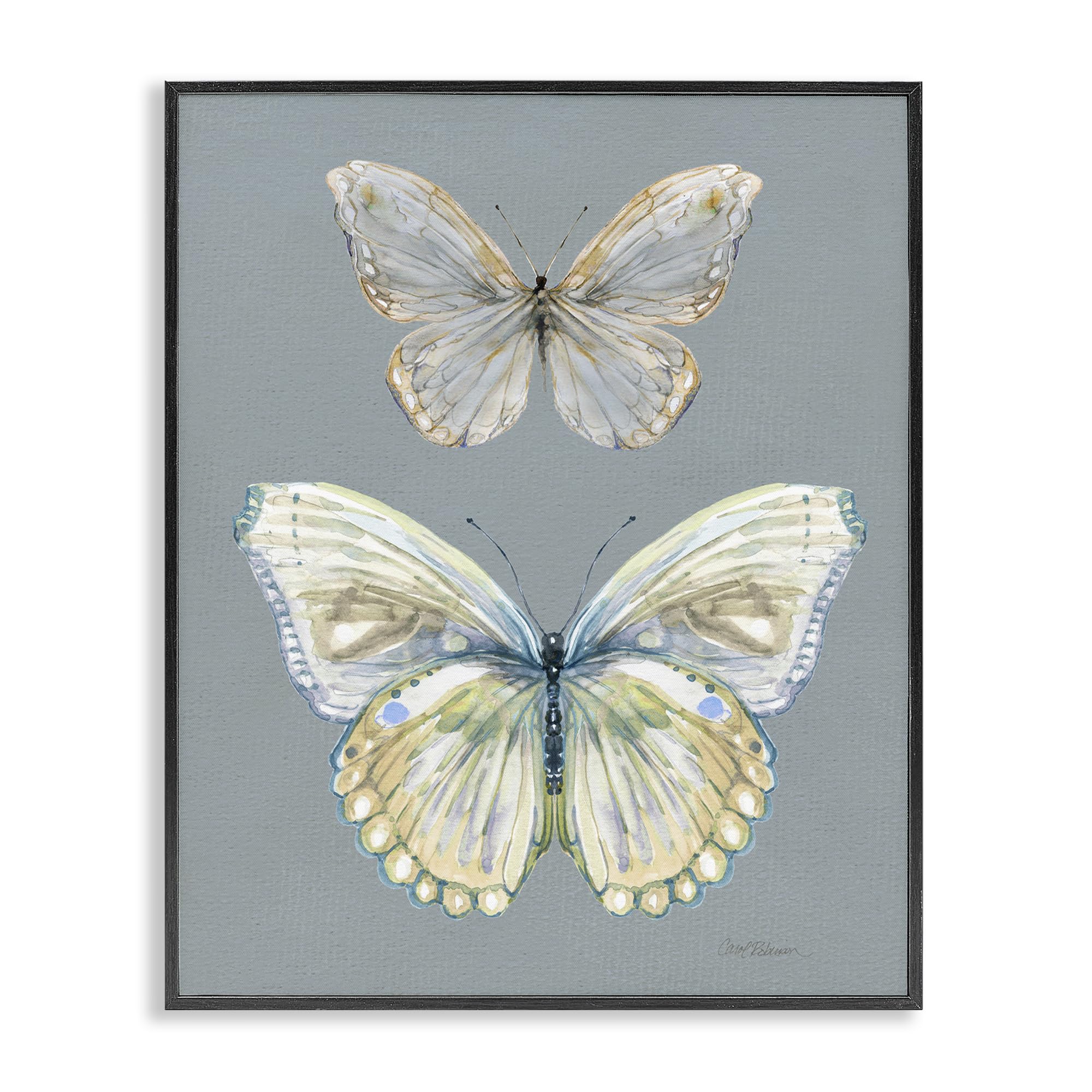 'Butterfly Pair Study'| Framed Giclee Art