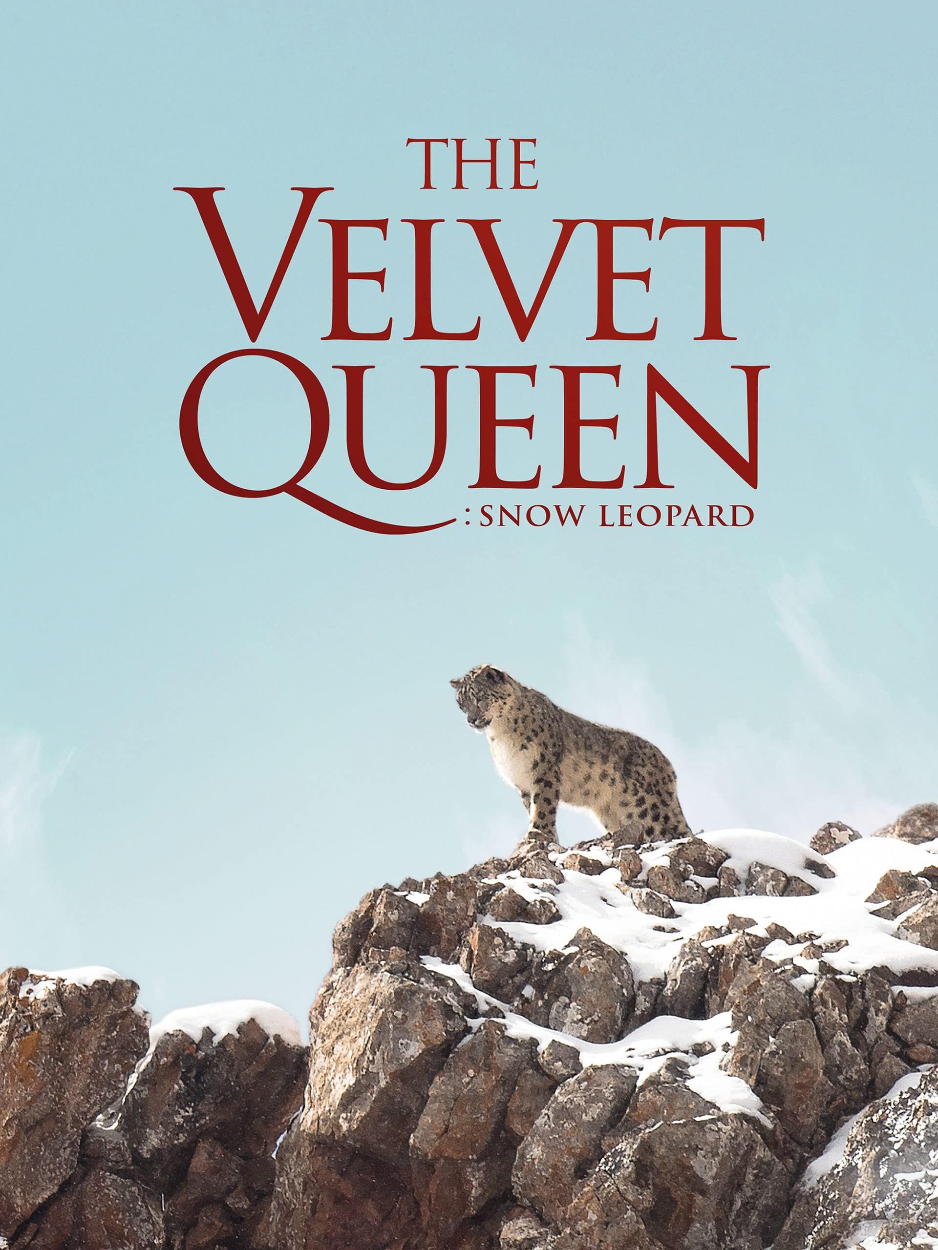 The Velvet Queen: Snow Leopard