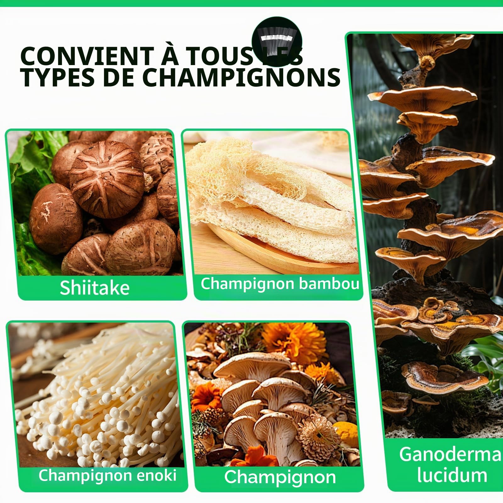 SWAWIS Lot de 50 sacs de culture de champignons - 25 x 50 cm - Avec filtre - Sac de culture de champignons - Sac de culture de champignons - Résistant à la déchirure et solide - Accessoire de culture
