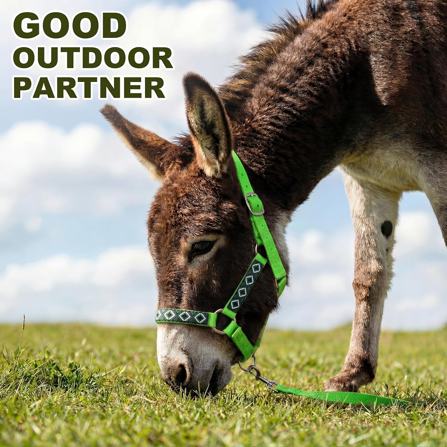 Set Miniature Donkey Halter with Lead Ropes, Cute and Stylish Adjustable Nylon Head Collar Set for Miniature Donkeys