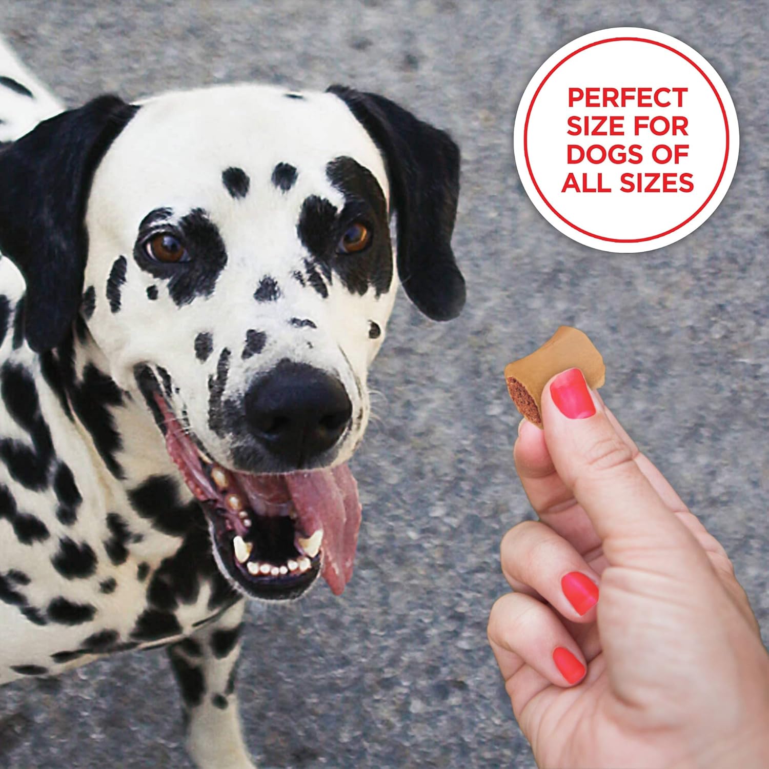 Milk-Bone MaroSnacks Dog Treats for Dogs, 10 Ounces (Pack of 12)