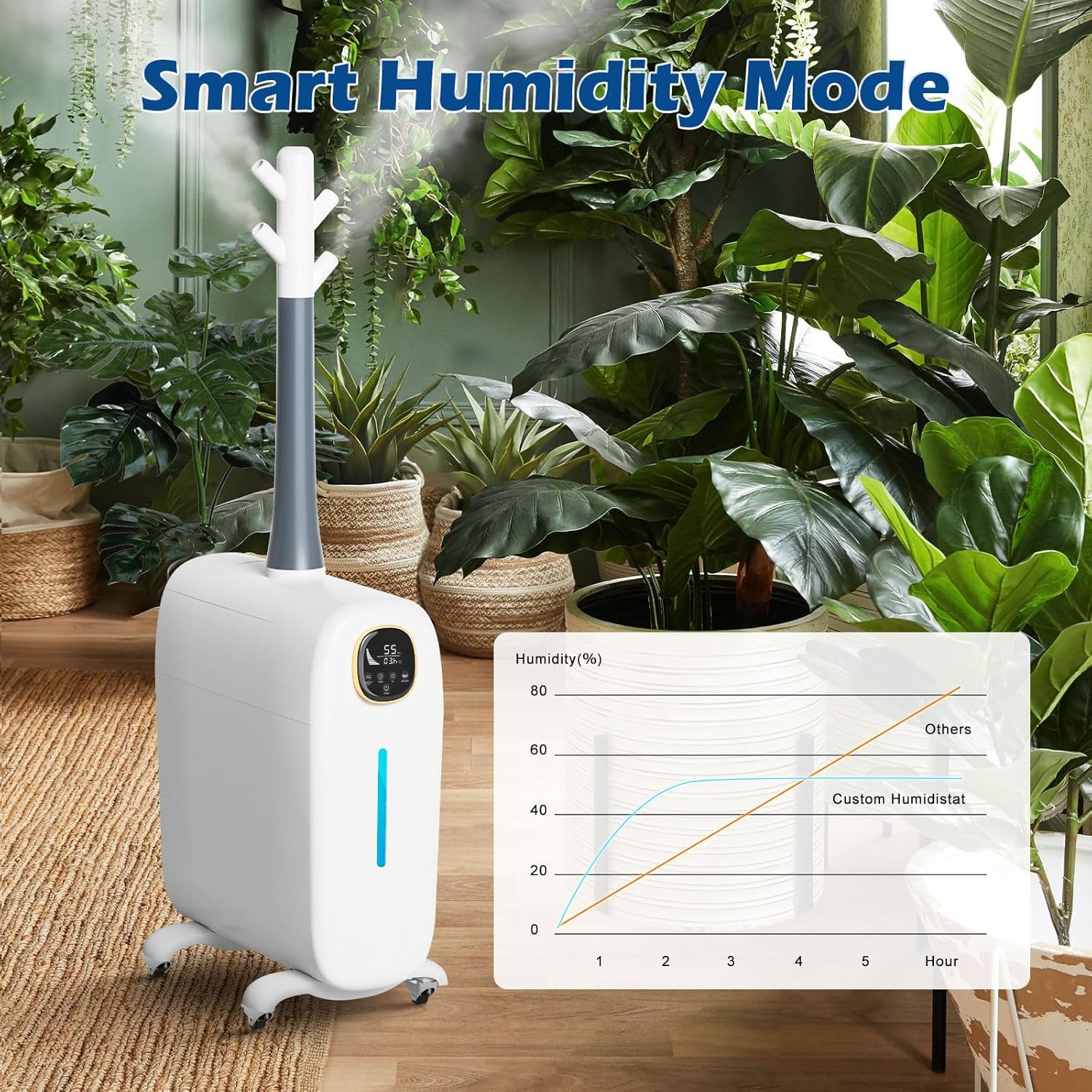 https://m.media-amazon.com/images/I/81f1xzi0MFL._AC_SL1500_.jpg
