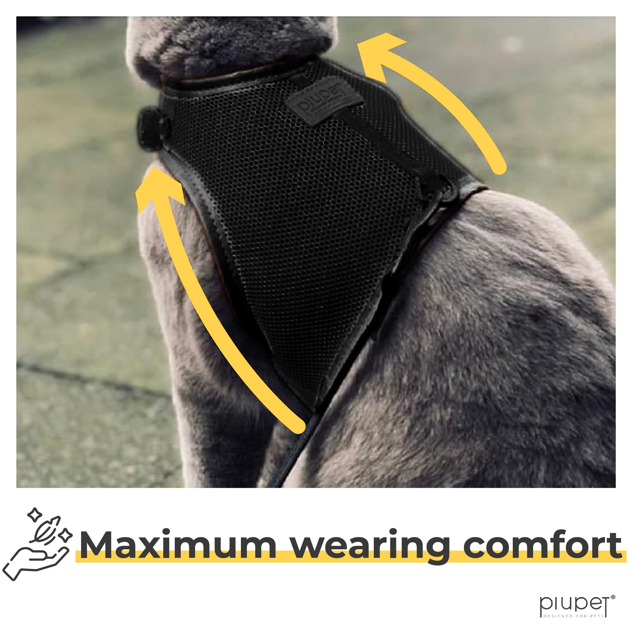 PiuPet® Cat Harness and lead set I 1,2m cat lead I Cat harness escape-proof I Robust Cat Collars - Image 4