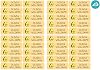 50 Personalized Iron-on Labels, of 6 x 2 cms, to Mark The Clothes. Meat Color for Iron