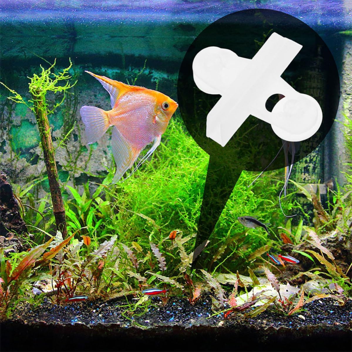 CHILDWEET Fish Tank Divider Clips for Fish and Aquatic Plants Separation 25pcs with Suction Cups Non-Slip Abs Material, Versatile Reusable Isolation Clips for Aquarium Setups