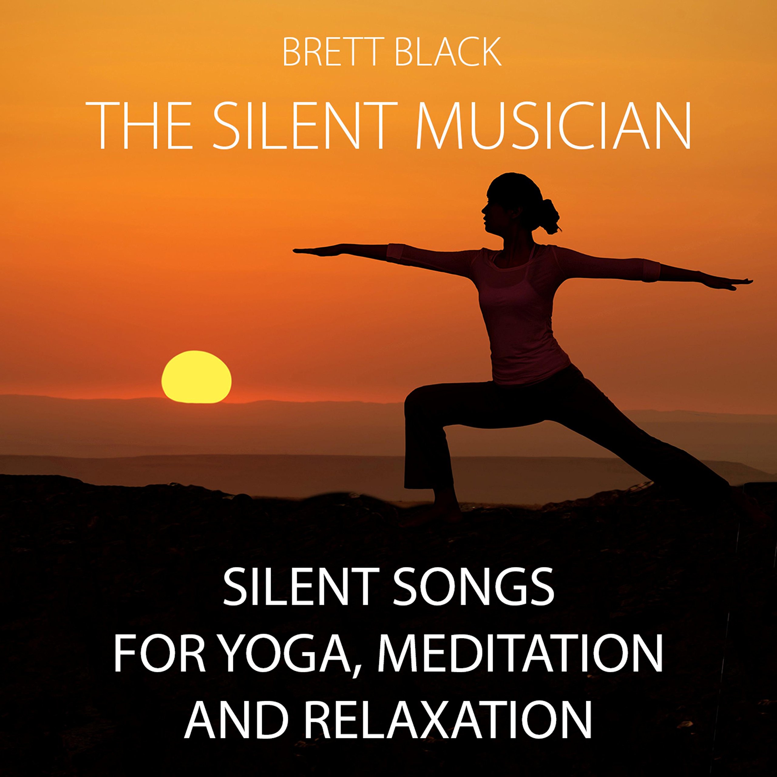 Brett Black the Silent Musician