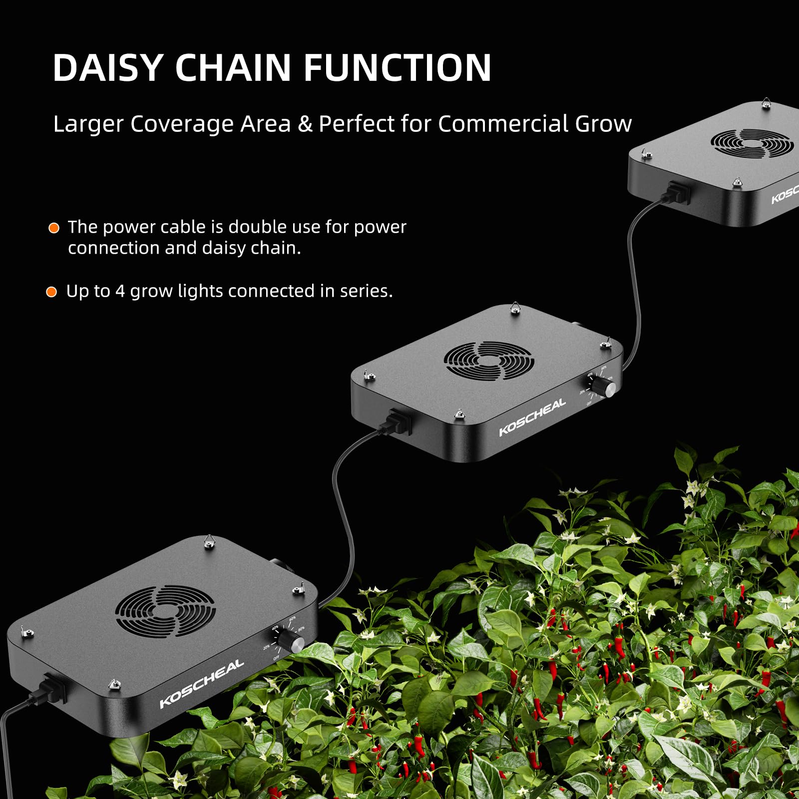 KOSCHEAL - Luz LED de cultivo KC 800