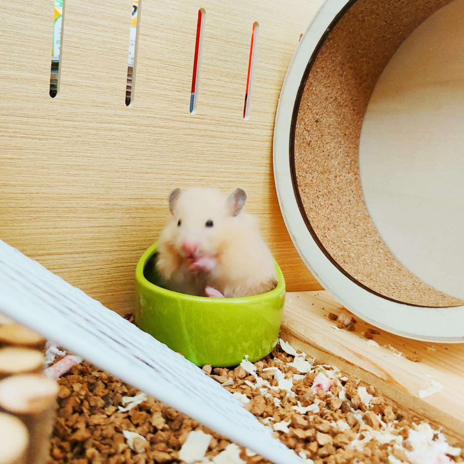 HOMURY Lot de 4 bols en céramique pour petits animaux - Gamelles anti-morsure pour hamsters et cochons d'Inde