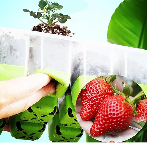 Miniatura 2 de 5 bandejas de inicio de semillas, iniciador de semillas de silicona con células emergentes (60 células en total), bandejas de cultivo de plantas