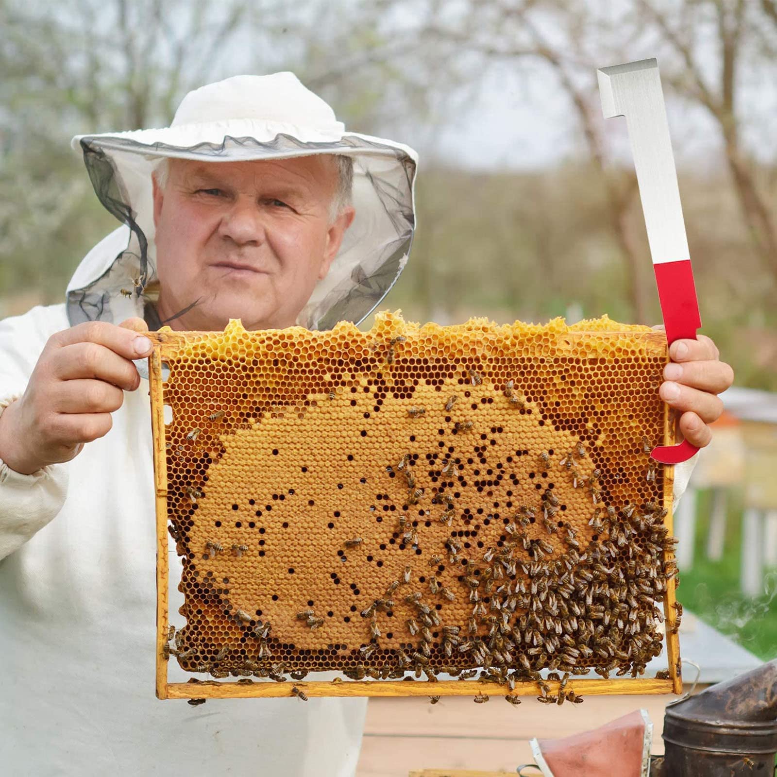 Outils Apicoles Pour Les Abeilles De La Ruche Grattoir Couteau Pour Apiculteur Prendre Le Miel Ce Couteau Dapiculture Vous Sera Tres Utile