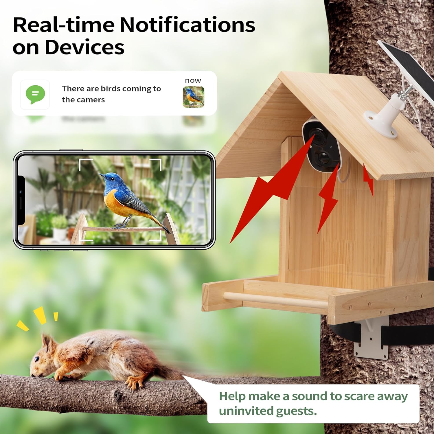 COZIWOW Smart Bird Feeder with Camera,Birds Watching Camera with AI Identification Squirrel Alarm,2K HD Auto Capture Videos&Instant Arrival Alerts,Birdhouse Birdfeeder for Bird-Lovers