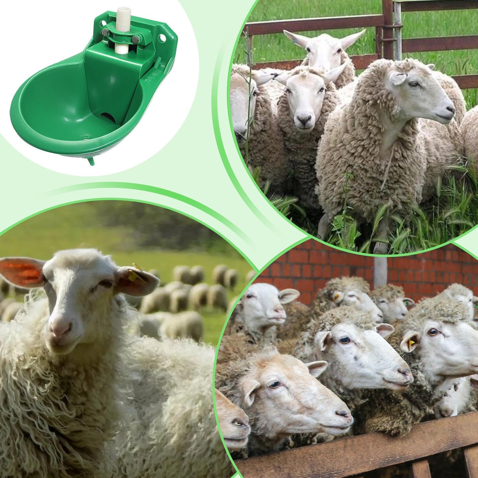 Bebedero Automático Animales 500ml - Para Gallinas, Cabras, Ovejas, Perros, Granja, Con Válvula De Latón, Antiderrame