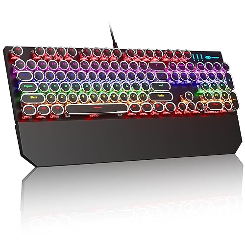 MageGee Typewriter Mechanical Gaming Keyboard, Retro Black Punk Round Keycaps RGB Rainbow Backlit Wired Keyboards for Laptop MAC PC Gamer, with Magnetic Wrist Rest - Blue Switch - Black
