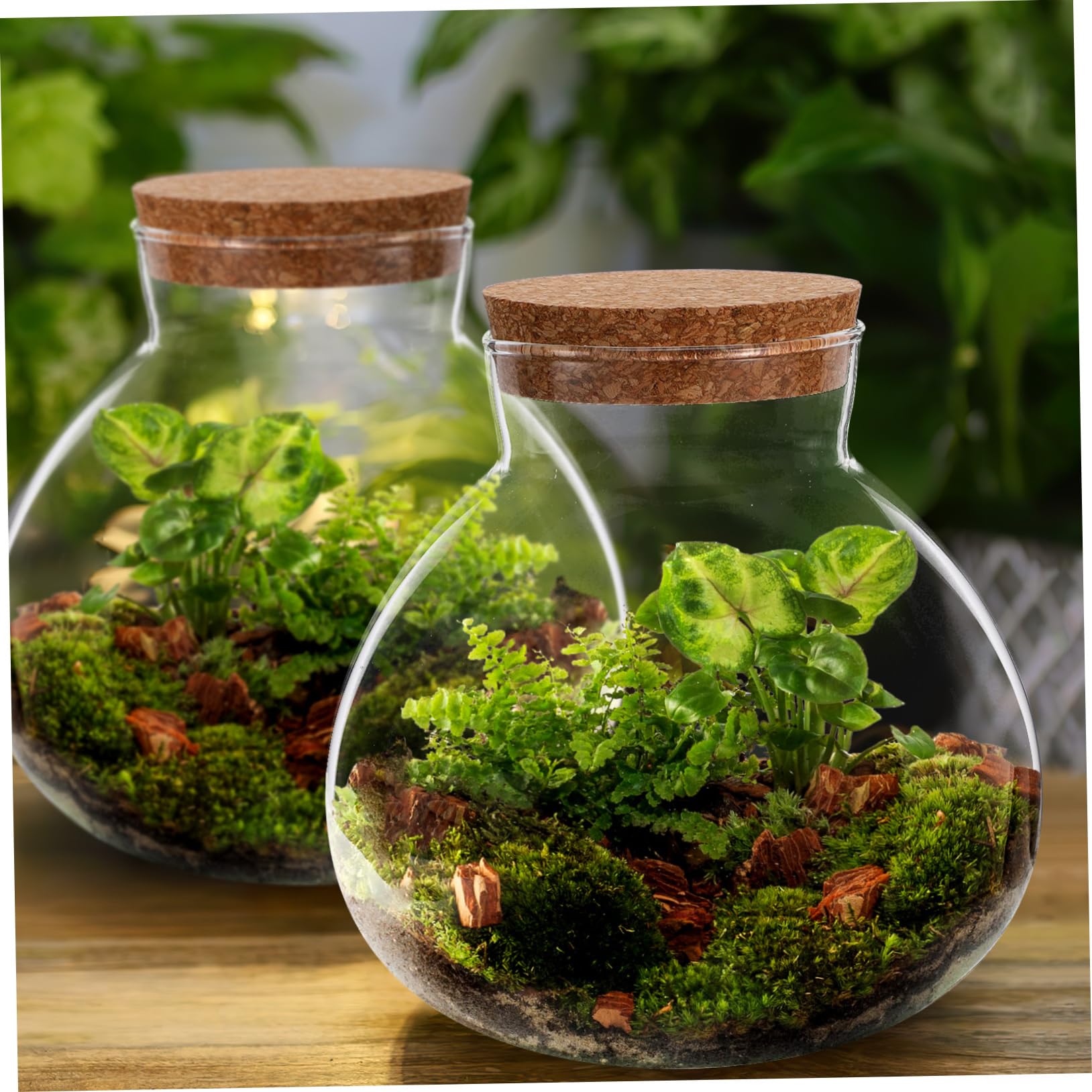 Eco-Friendly Glass Terrarium Jar with Cork Lid, Diy Micro Landscape Bottle for Succulents Ferns and Decorative Plants - Image 4