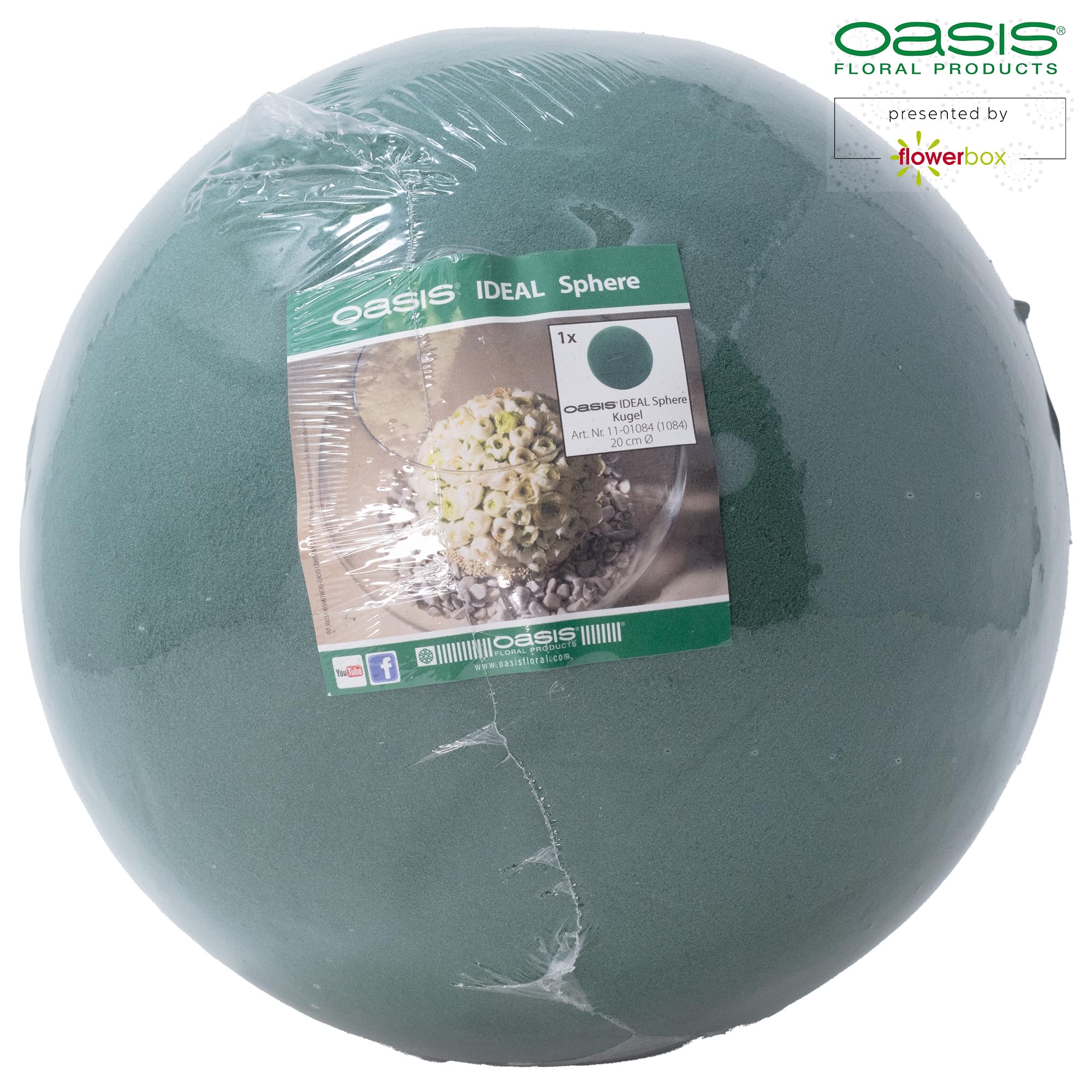 FLOWERBOX Oasis Rondella Aspirante Per Auto, 2 Pezzi, Diametro 20 Cm, Porta Gioielli Per Decorazioni Floreali