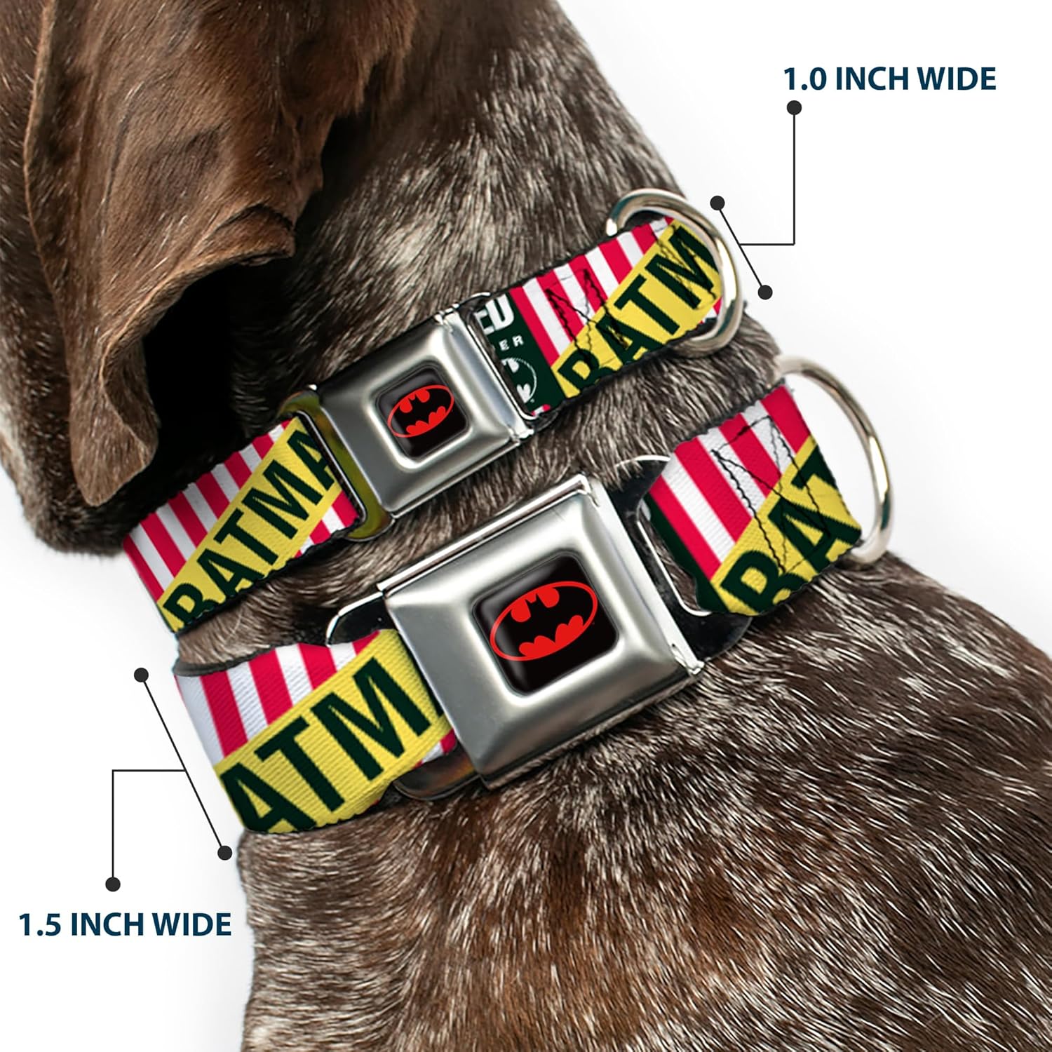 Buckle-Down Seatbelt Buckle Dog Collar - Batman Caped Crusader - 1" Wide - Fits 9-15" Neck - Small
