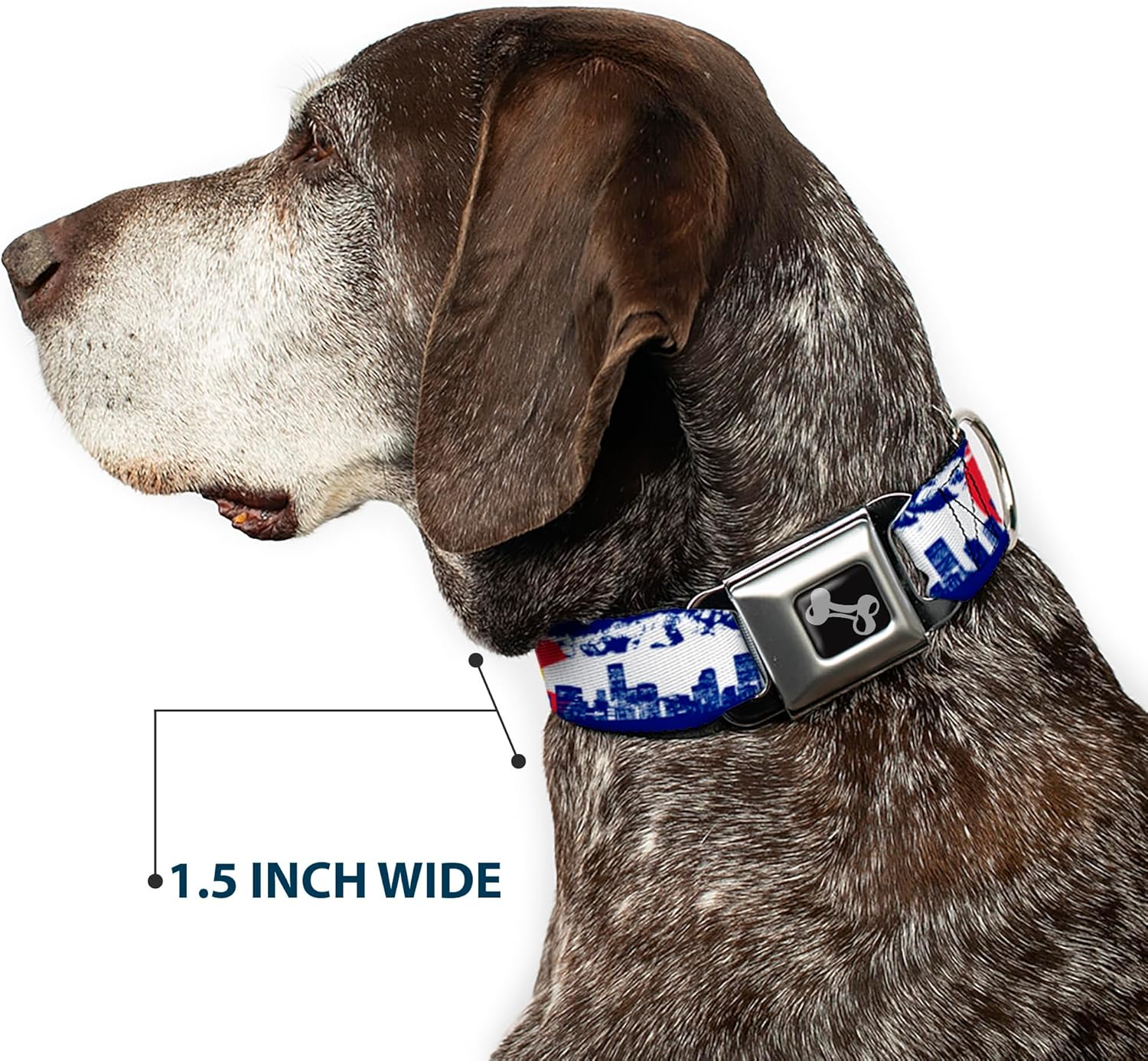 Buckle-Down 18-32" Colorado Skyline/Mountains Dog Collar Bone, Wide Large