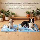 Ver la foto 5