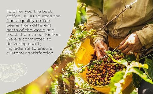 Miniatura 4 de JUJU - Café en grano entero - 100% arábica, calidad premium, tostado medio, 24 onzas (paquete de 2))