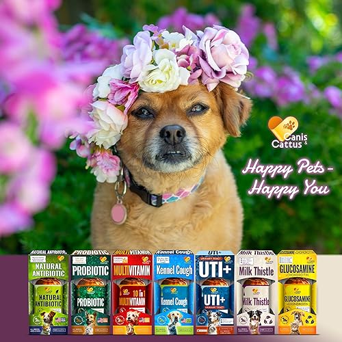 Miniatura 8 de Canis&Cattus Cardo mariano para perros y gatos  Apoyo hepático y renal para mascotas  Gotas de sabor salmón para el bienestar diario  2 onzas