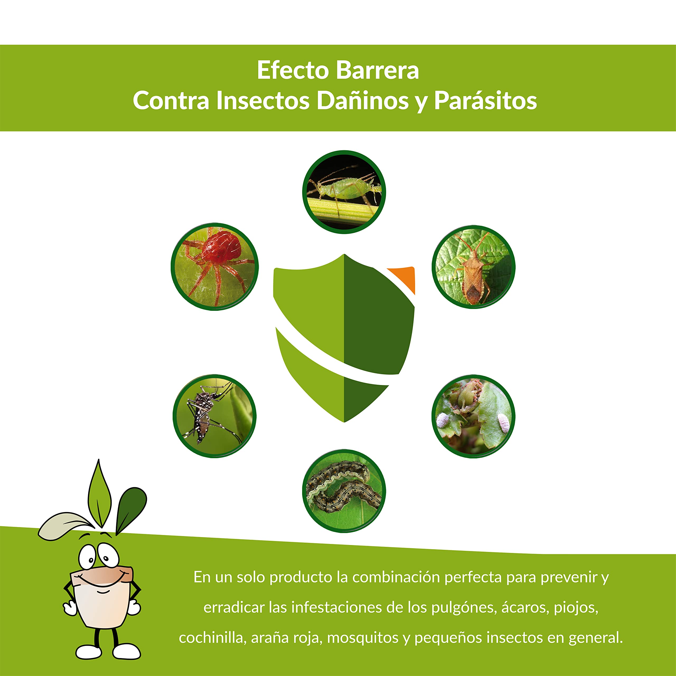 CLOSTER Set Jabón Potasico y Aceite de Neem Spray 2x500ML - Insecticida Natural Mosquitos Chinches Pulgones Cochinilla Ácaros, Desinfestante Biodegradable Ecológico (Spray de 2x500 ML Listo para Usar)