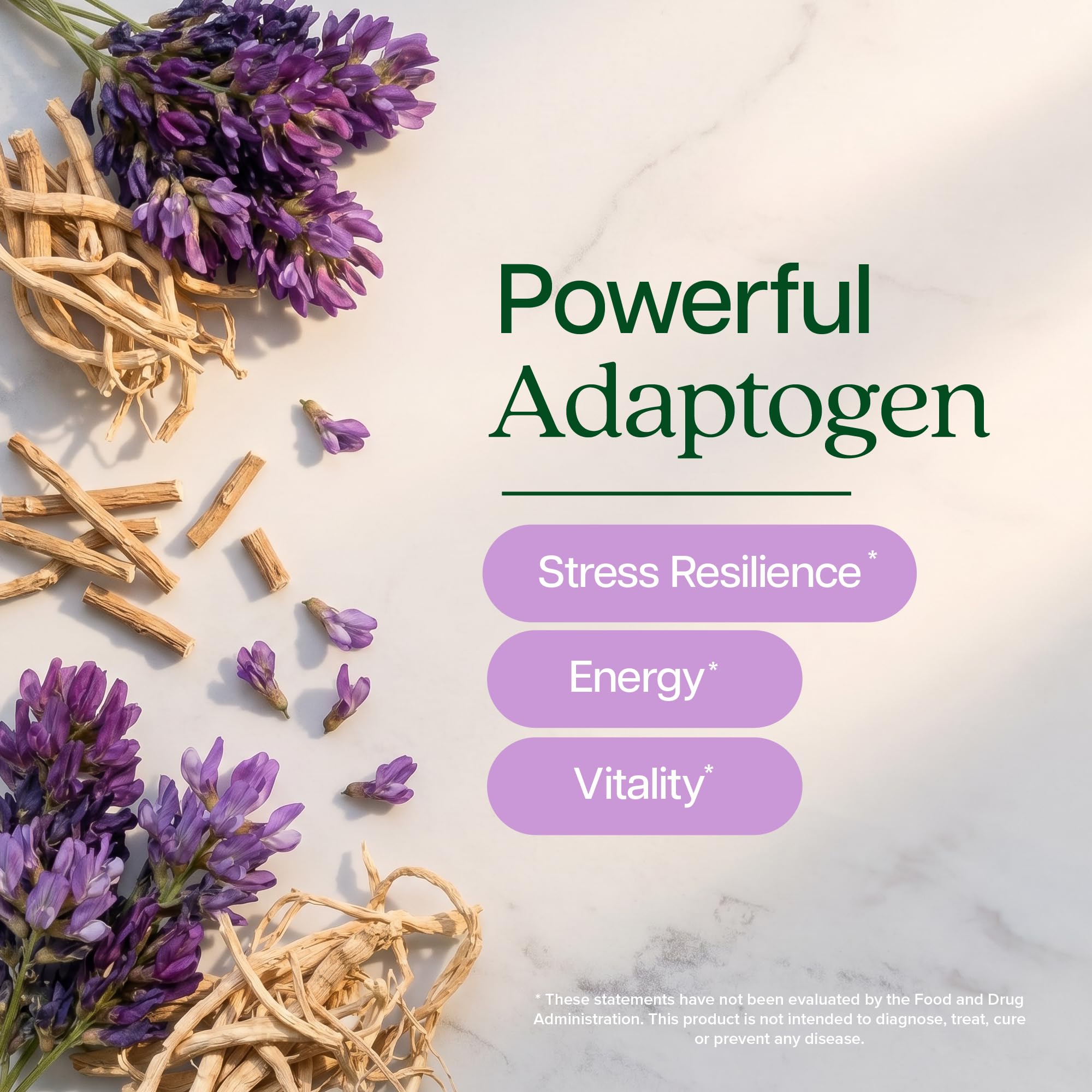 Astragalus Root, 8 Month Supply, Immune Support, 20:1 Astragalus Extract — Amazon image 5