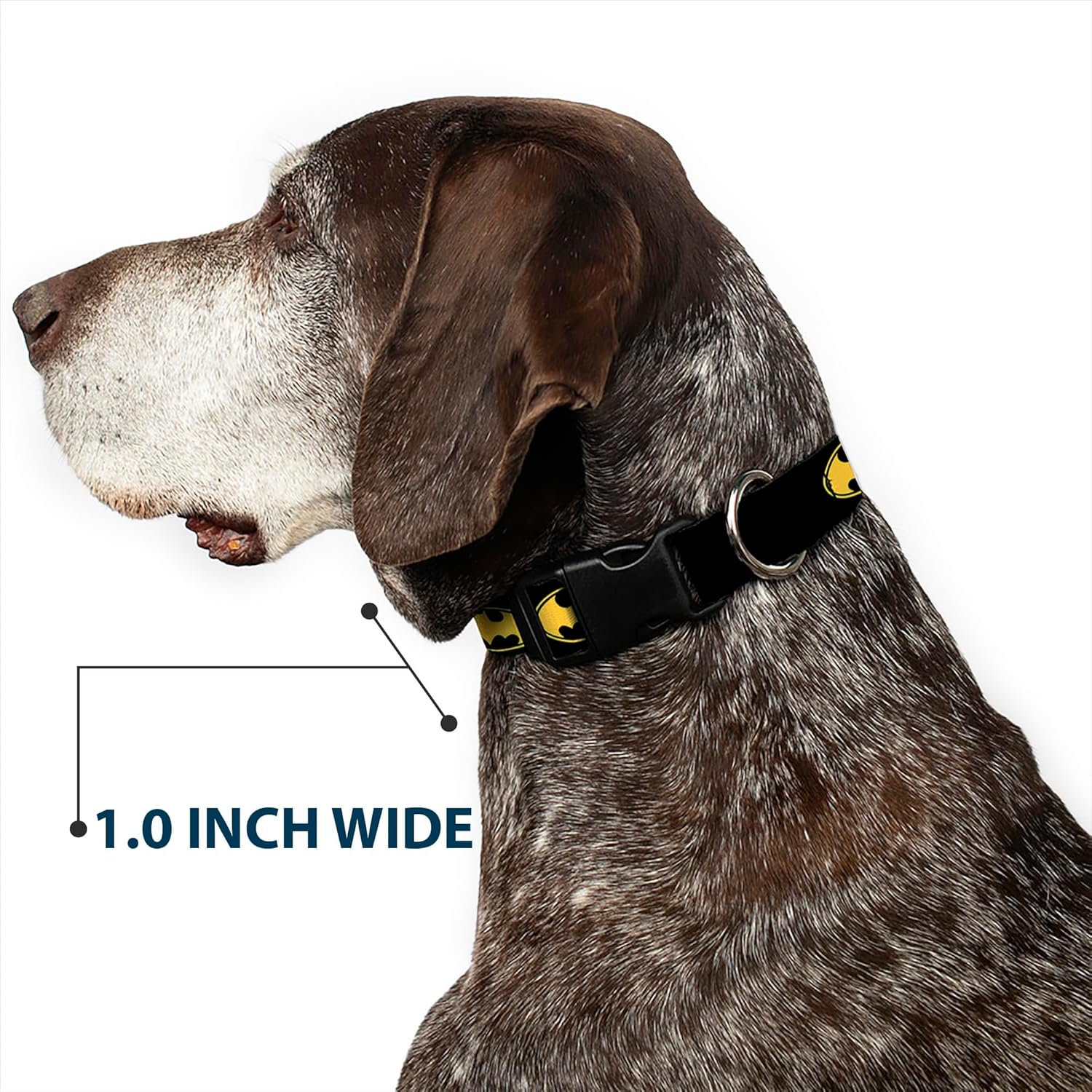 Buckle-Down Plastic Clip Collar - Bat Signal-3 Black/Yellow/Black - 1.5" Wide - Fits 16-23" Neck - Medium