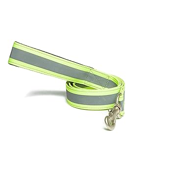 PetWale Reflective Green Dog Leash - (Size : Large)