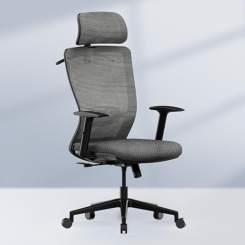 FLEXISPOT Silla de oficina ergonómica clásica con respaldo alto, silla giratoria para computadora, sillas de escritorio ejecutivas, con soporte