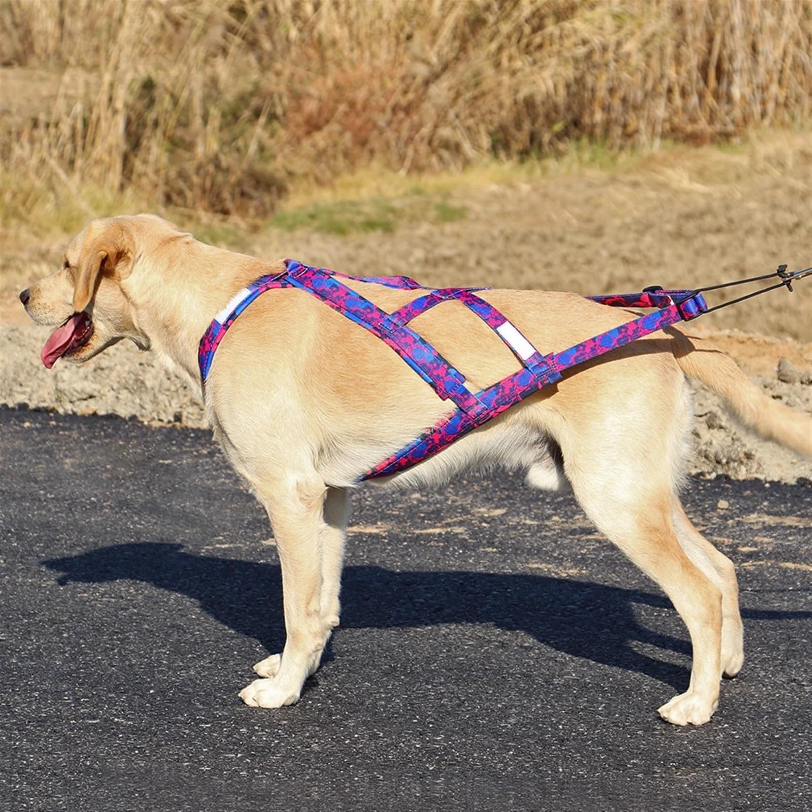 Arnes de Tiro para Perros Arnés reflectante for trineo de perros, ajustable, for perros grandes, con capacidad de tracción, for trineos de mascotas, for perros medianos y grandes, for esquiar y esquia