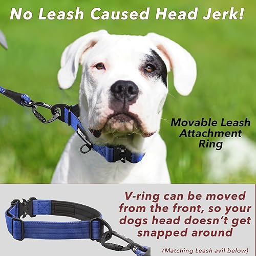 Miniatura 5 de Collares de perro resistentes de alta calidad, diseñados y construidos para ser lo suficientemente duraderos para la energía y la aventura de tu